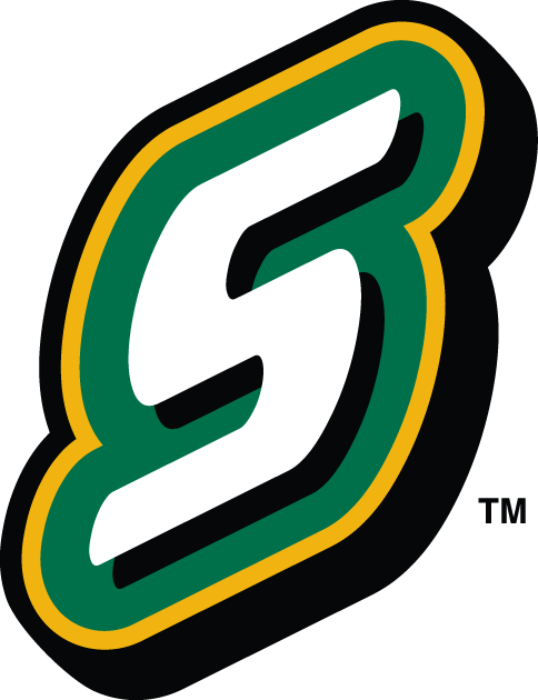 Southeastern Louisiana Lions 2003-Pres Alternate Logo v3 iron on transfers for T-shirts